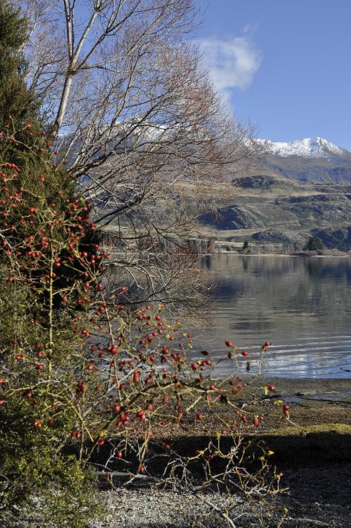 Lansdown Villa Apartments Wanaka Exterior foto